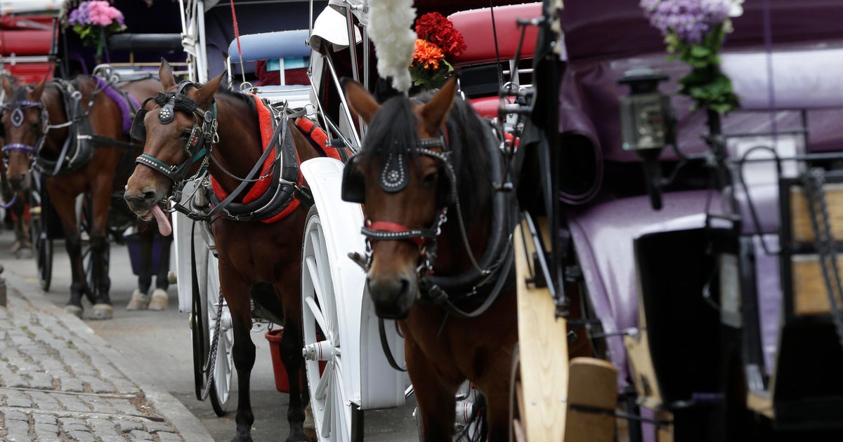 NYC's Central Park Conservancy calls for ban on carriage horses in the park 