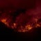 Climate-driven wildfires are reversing clean air progress, new report says