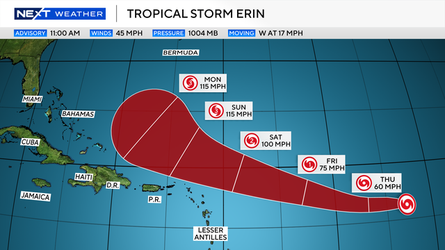 erin-11am.png 