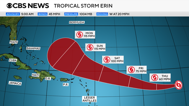 erin-cone.png 
