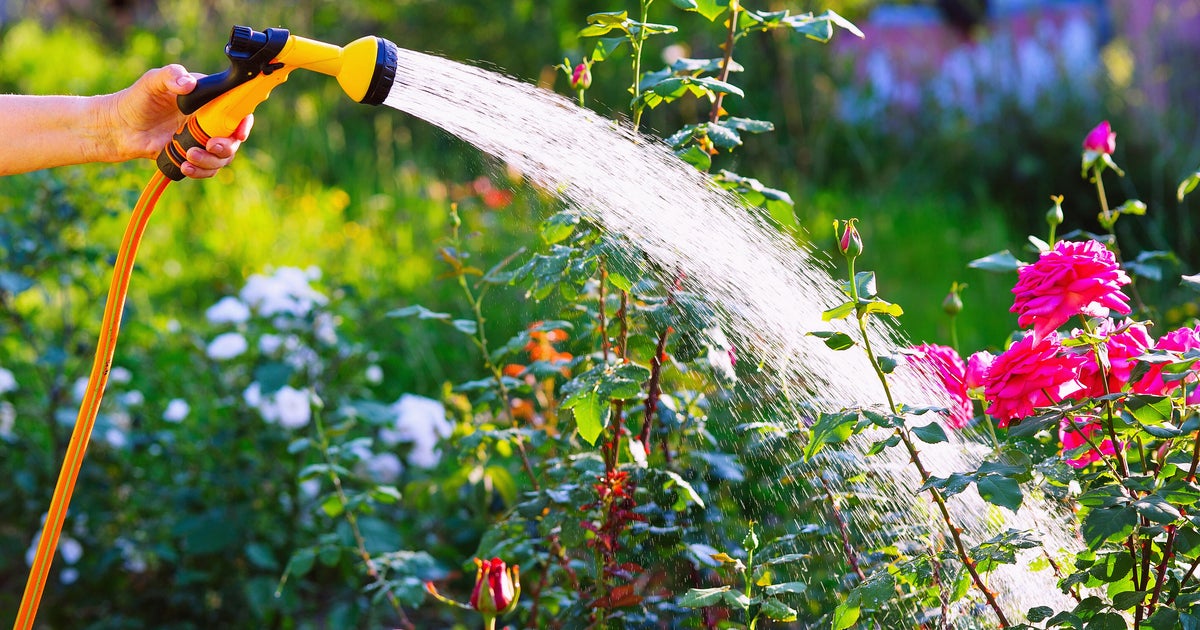 Cranberry Township asking people to conserve water amid dry stretch of weather in the Pittsburgh area 