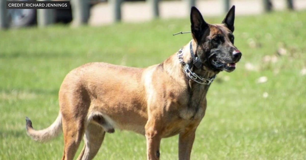 Big cuts coming to Minnesota DOC's K-9 program 