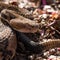 Hiker dies after being bitten by venomous snake in Tennessee state park