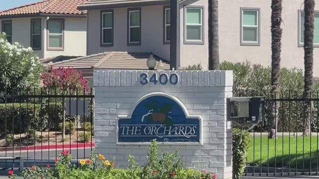 walnut-orchard-modesto.jpg 