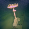 31 newly found shipwrecks may include steamer destroyed in WWII