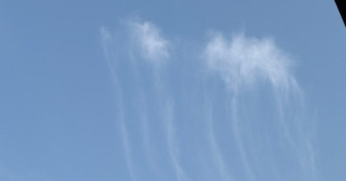 How certain kinds of clouds can help predict the weather | Hey Ray 