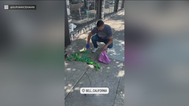 dog-poop.png 