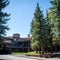 Hundreds may have been exposed to rabies in Grand Teton National Park