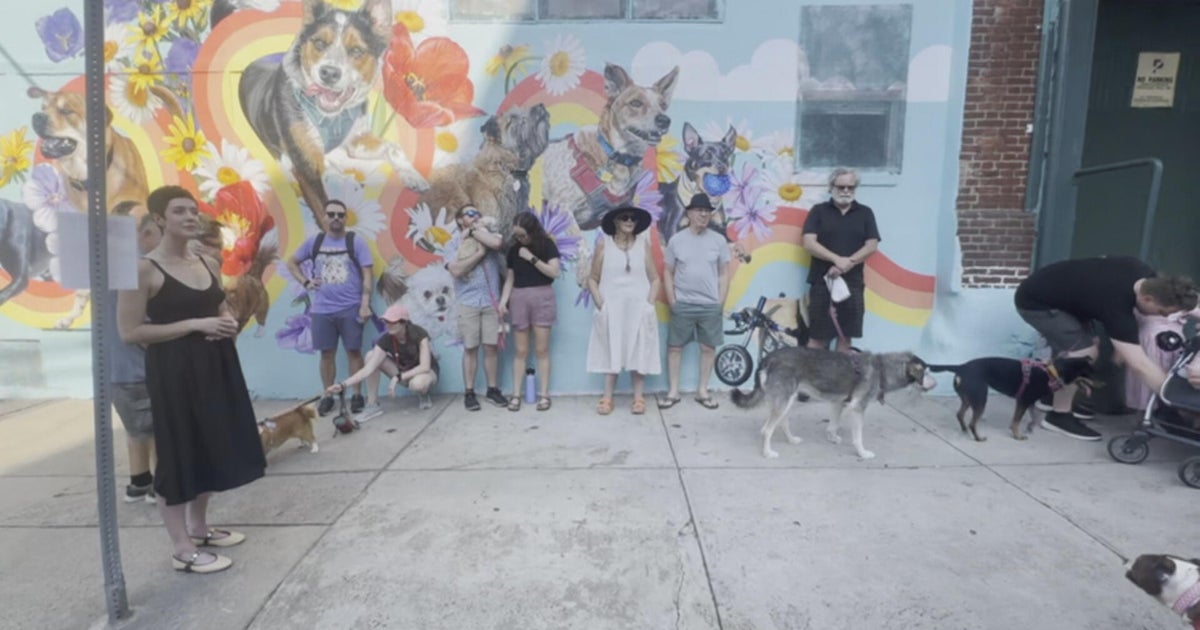 Mural showcasing neighborhood's dogs unveiled in Northern Liberties 