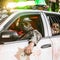 Unmasking the "Zombie Hunter"