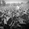 These United States: America's first cash crop
