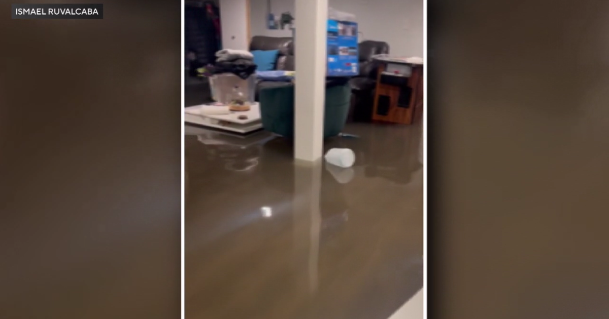 Chicago alders call for action to prevent storm backflow into basements 