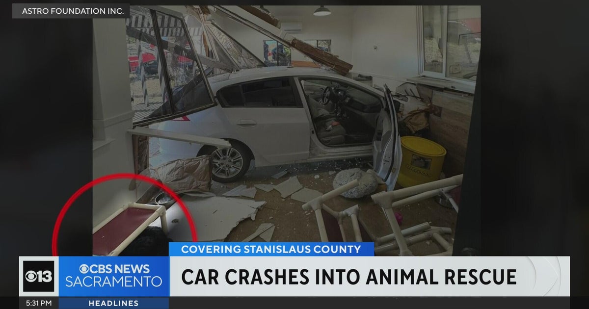 Car crashes into Central California animal rescue