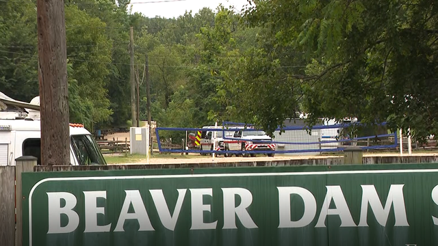 beaver-dam1.png 