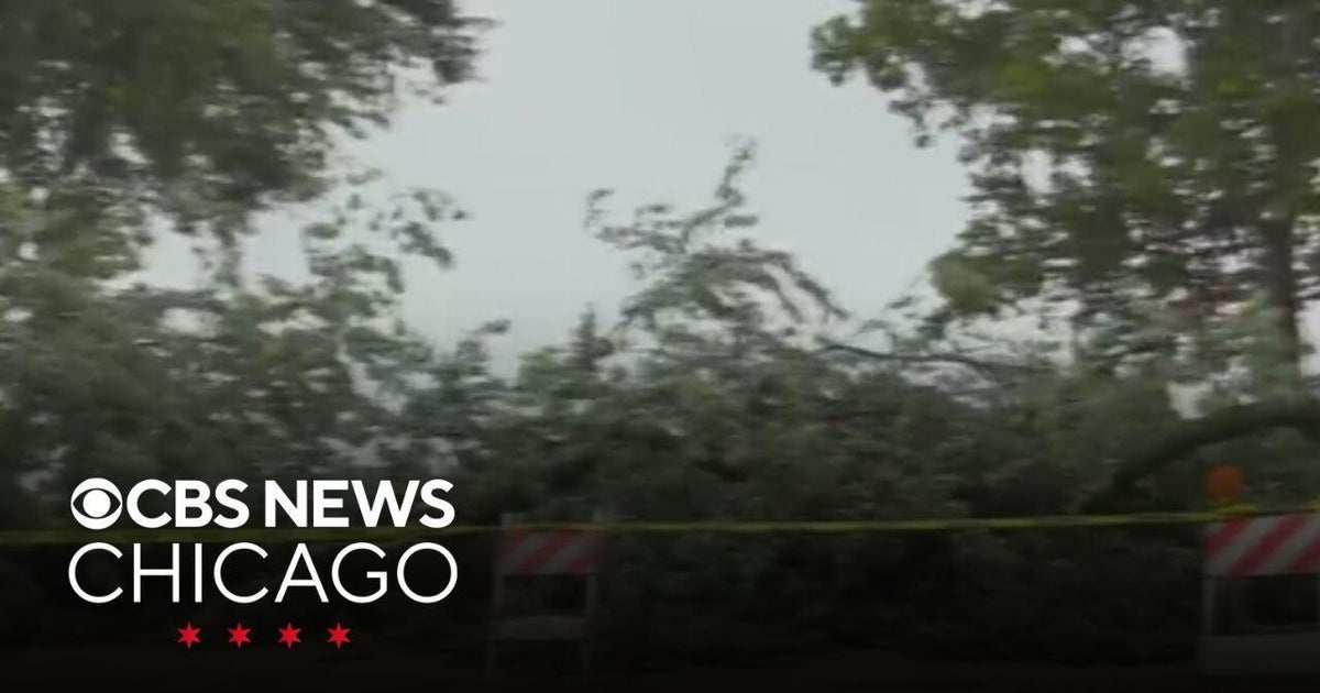Storms rip down trees and power lines, leave flooding in Northern ...