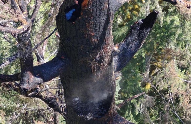 oregon-doerner-fir-on-fire-08192025.jpg 