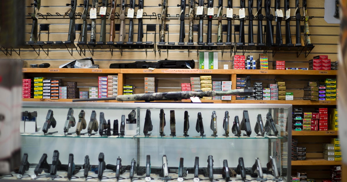Court revives lawsuit alleging South Florida city’s zoning restrictions on gun shop’s operations violates state law