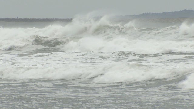 horseneck-westport.jpg 
