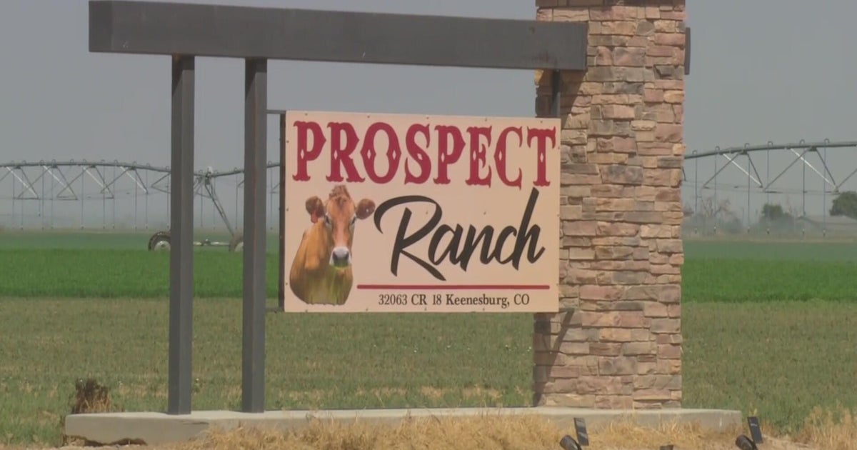 Six people found dead during confined space rescue at Northern Colorado ...