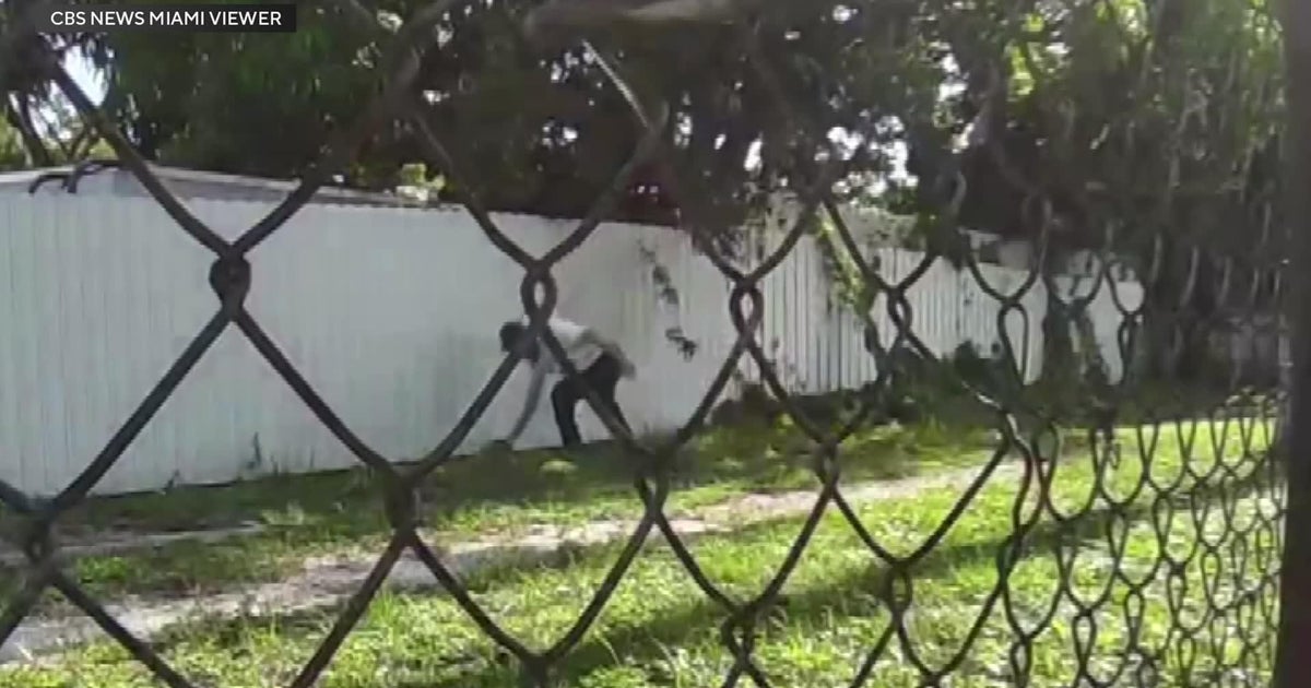 Miami-area man caught on video allegedly poisoning neighbor’s cat, faces charges, police say