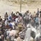 Eyewitness says American subcontractors at Gaza aid sites fired at Palestinians