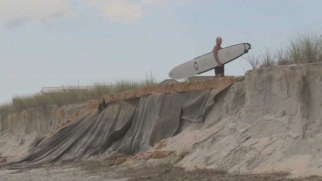 A small cliff, about 8 feet high, separates the dunes from the beach in Strathmere, a man walks on top with the surfboard 