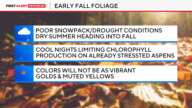 fall-foliage.png 