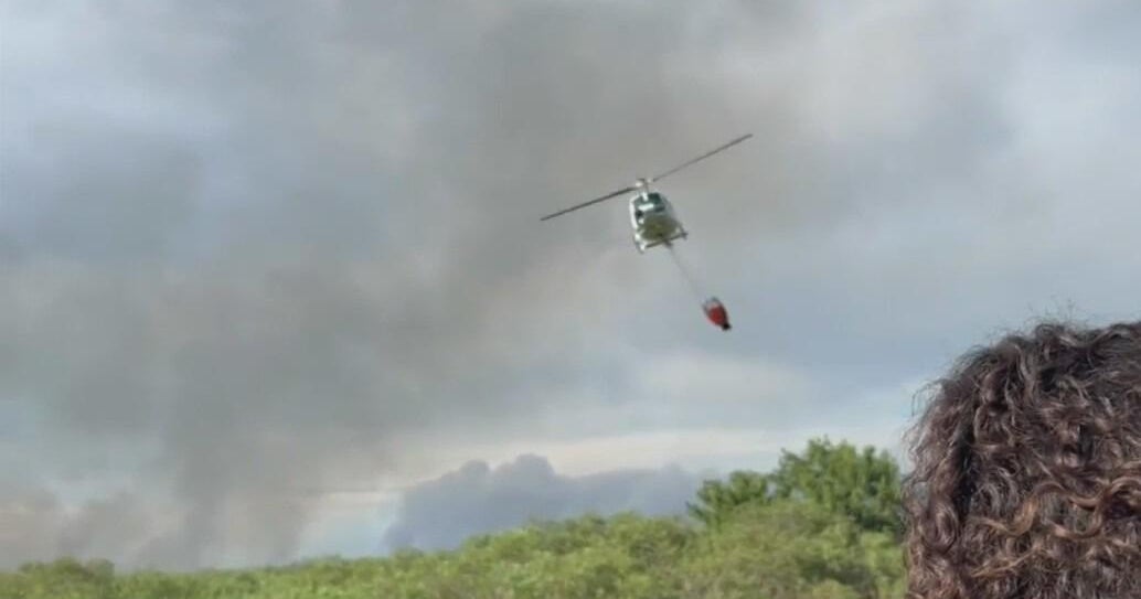 Forest service workers making progress in containing massive Everglades wildfire Forest service workers making progress in containing massive Everglades wildfire