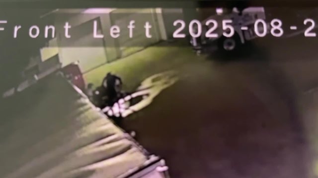 17-p-diaper-bank-theft-wforc2qq.jpg 