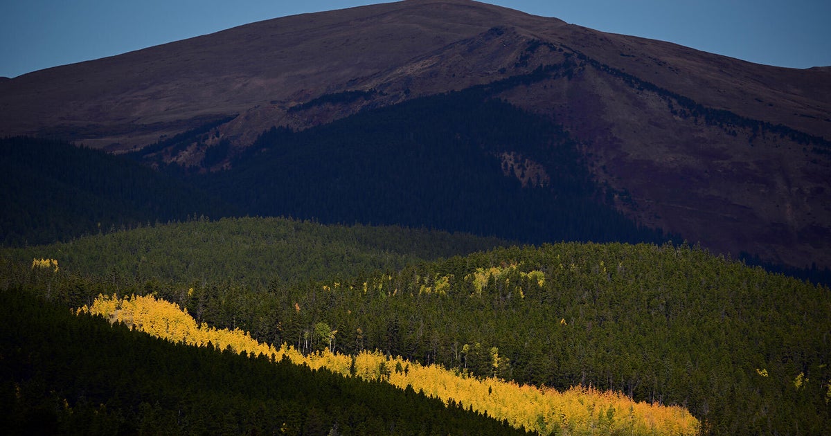 Colorado fall colors 2025 arriving early: See peak foliage forecast