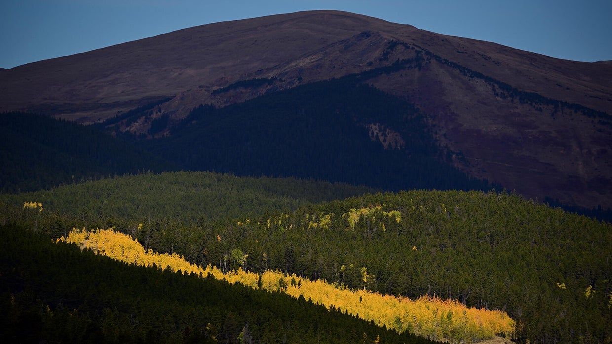 Colorado fall colors 2025 arriving early: See peak foliage forecast ...