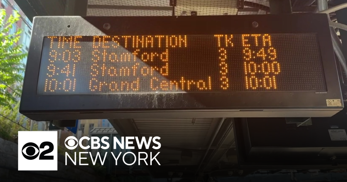 Major Morning Delays Disrupt Metro Transit New York, Delhi, Idaho