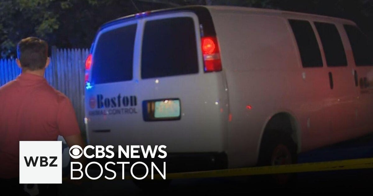 Police kill dog that mauled Boston woman and more top stories - CBS Boston