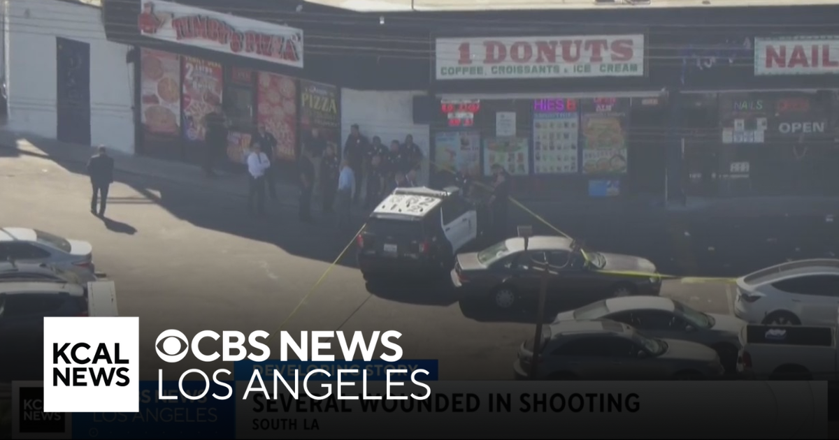 Investigation continues after shooting that left 5 wounded in South Los ...