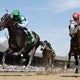 Horse named after Eagles' Big Dom wins debut race in Saratoga 