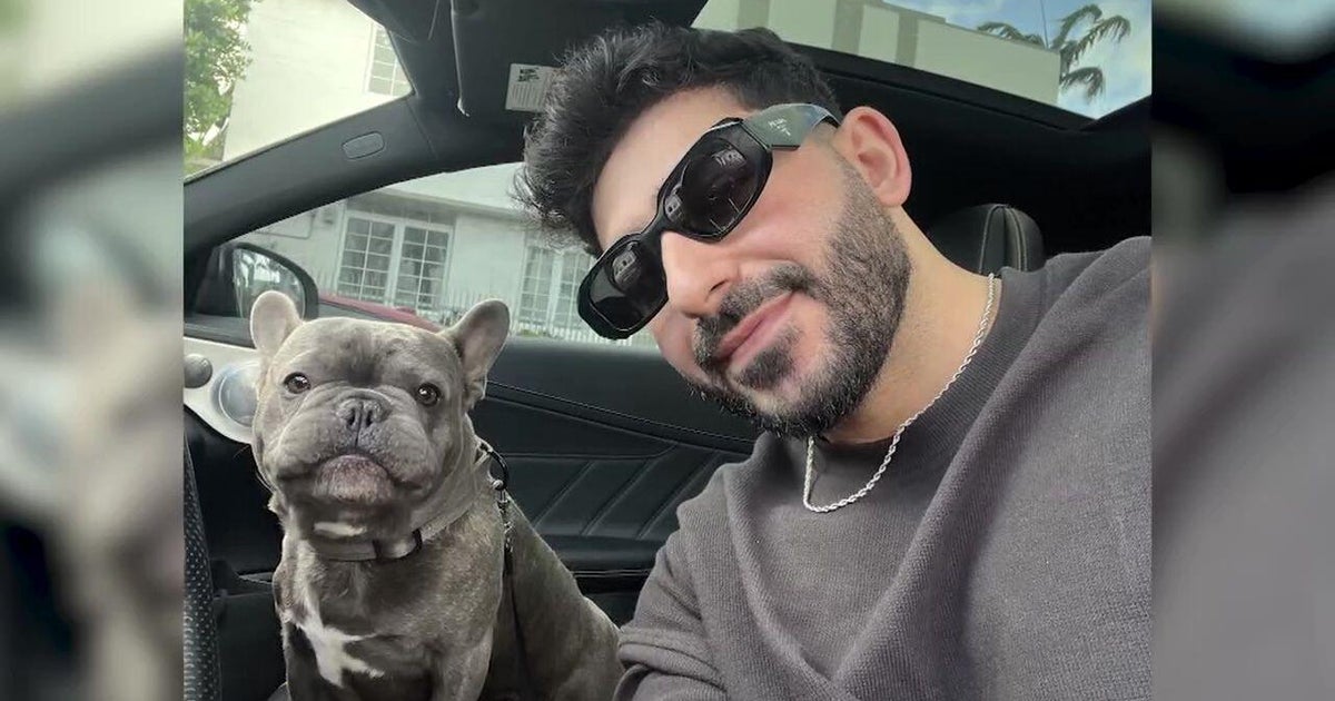 Broad daylight theft of French bulldog off their front lawn rattles Long Island family