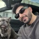 Theft of French bulldog off front lawn rattles Long Island family 
