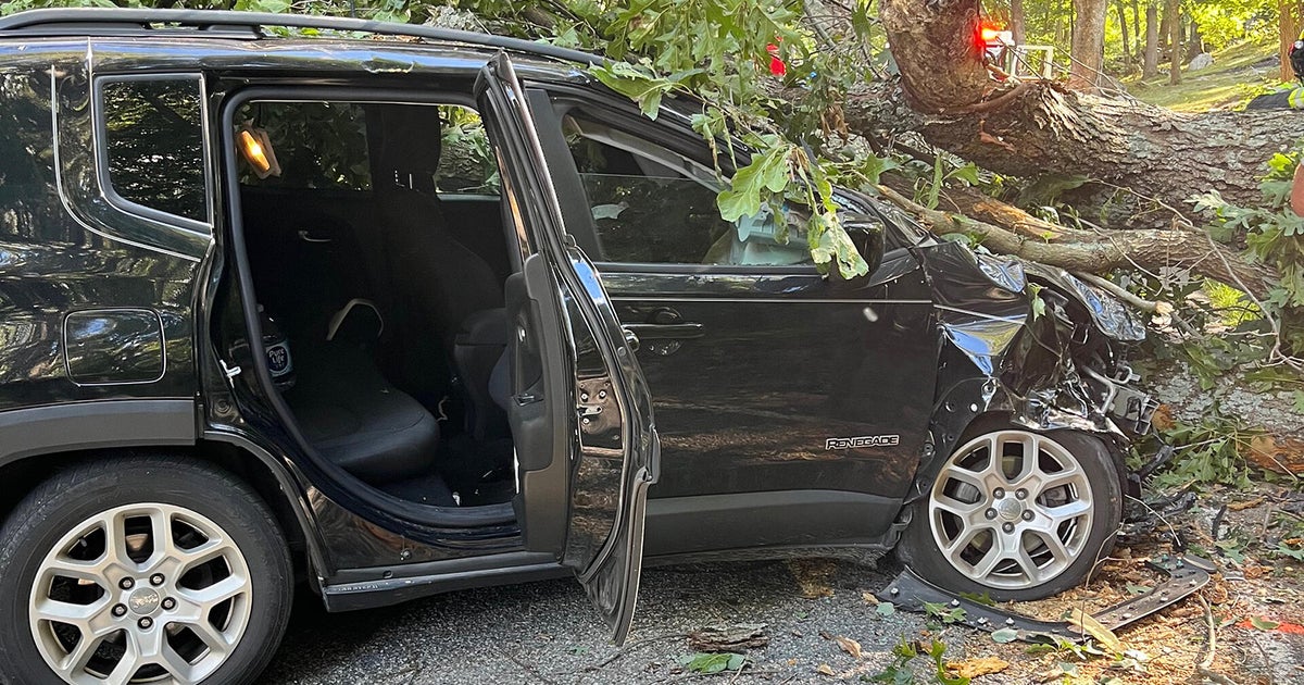 Driver escapes with minor injuries after tree crushes car in Lincoln ...