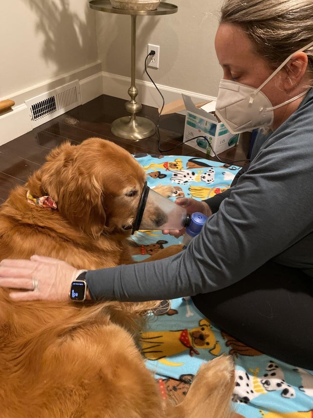 lola-treatment.jpg 