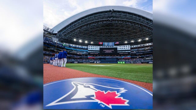blue-jays-web.jpg 