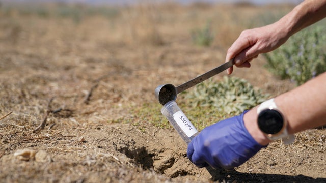 Soil sample to check for valley fever fungus 