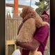 Queens family reunited with dog after woman falsely claimed to be owner 