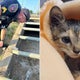 Burleson Police Department rescues kitten from storm drain, names her Stormy 