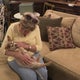 The Pet Project helps those in need keep their companions by their side 