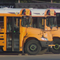 buses.png 