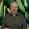 Jim Gaffigan on the summer harvest: Too many cukes!