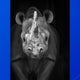 Potter Park Zoo's rhino Doppsee has died after a month of medical attention 