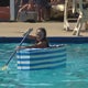 Dozens of kids set sail at 12th Annual Cardboard Boat Regatta in Delco 