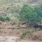 Landslide levels village in Sudan's Darfur region, kills roughly 1,000