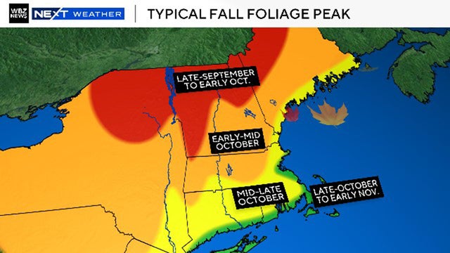Foliage peak 